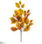 Beech Leaf Spray - Brown Mustard - Pack of 12