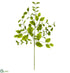 Silk Plants Direct Beech Spray - Green - Pack of 12