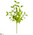 Beech Leaf Spray - Green - Pack of 12