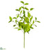Silk Plants Direct Beech Leaf Spray - Green - Pack of 12