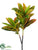 Croton Spray - Yellow Green - Pack of 12