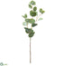 Silk Plants Direct Soft Plastic Cotinus Leaf Spray - Green - Pack of 12