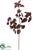 Outdoor Coggygria Spray - Burgundy Rust - Pack of 12