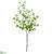 Chestnut Tree Branch - Green - Pack of 12