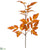 Cimicifuga Ramosa Leaf Spray - Flame - Pack of 12
