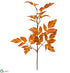 Silk Plants Direct Cimicifuga Ramosa Leaf Spray - Flame - Pack of 12