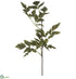 Silk Plants Direct Cimicifuga Ramosa Leaf Spray - Green - Pack of 12