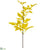 Cimicifuga Ramosa Leaf Spray - Yellow Mustard - Pack of 12