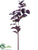 Silk Plants Direct Coleus Leaf Spray - Burgundy Green - Pack of 6