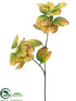 Silk Plants Direct Leaf Spray - Green Rust - Pack of 12