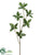 Silk Plants Direct White Cheesewood Leaf Branch - Green - Pack of 6