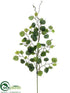 Silk Plants Direct Cottonwood Spray - Green - Pack of 12