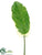 Dieffenbachia Leaf Spray - Green White - Pack of 12