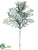 Dusty Miller Spray - Green Gray - Pack of 12