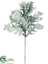 Silk Plants Direct Dusty Miller Spray - Green Gray - Pack of 12