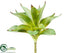 Silk Plants Direct Dracaena Spray - Green - Pack of 24