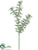 Dill Spray - Green - Pack of 12