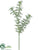 Dill Spray - Green - Pack of 12