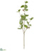 Silk Plants Direct Eucalyptus Leaf Spray - Green Gray - Pack of 12