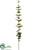 Eucalyptus Spray - Green Brown - Pack of 12