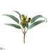 Silk Plants Direct Eucalyptus Pick With Pod - Green Gray - Pack of 24