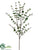 Eucalyptus Spray - Green - Pack of 12