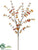 Eucalyptus Spray - Rust Green - Pack of 12