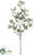 Eucalyptus Spray - Green Gray - Pack of 12