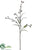 Eucalyptus Seed Spray - Green - Pack of 12