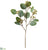 Eucalyptus Leaf Spray With Seeds - Green Gray - Pack of 12