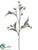 Silk Plants Direct Eucalyptus Berry Spray - Gray Green - Pack of 12