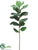 Fiddle Leaf Fig Spray - Green - Pack of 0