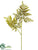 Lace Fern Spray - Green - Pack of 12
