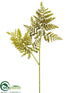 Silk Plants Direct Lace Fern Spray - Green - Pack of 12