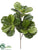 Silk Plants Direct Fiddle Leaf Branch - Green - Pack of 6