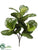Silk Plants Direct Fiddle Leaf Branch - Green - Pack of 2