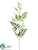 Polypodium Fern Spray - Green Green - Pack of 12