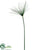 Papyrus Grass Spray - Green - Pack of 12