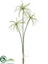 Silk Plants Direct Papyrus Grass Spray - Green - Pack of 12