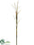 Foxtail Grass Spray - Brown - Pack of 12