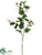 Silk Plants Direct Grape Leaf Spray - Green - Pack of 12