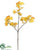 Gingko Spray - Yellow Two Tone - Pack of 12