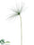 Papyrus Grass Spray - Green - Pack of 12