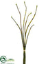 Silk Plants Direct Horsetail Equisetum Bundle - Green Two Tone - Pack of 12