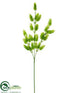Silk Plants Direct Hops Spray - Green Cream - Pack of 24