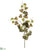 Ivy Leaf Spray - Green Burgundy - Pack of 12
