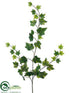 Silk Plants Direct Ivy Spray - Green - Pack of 24
