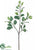 Hedera Ivy Leaf Spray - Variegated - Pack of 12