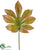 Fatsia Japonica Leaf Spray - Brown Green - Pack of 24