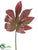 Fatsia Japonica Leaf Spray - Burgundy Green - Pack of 24